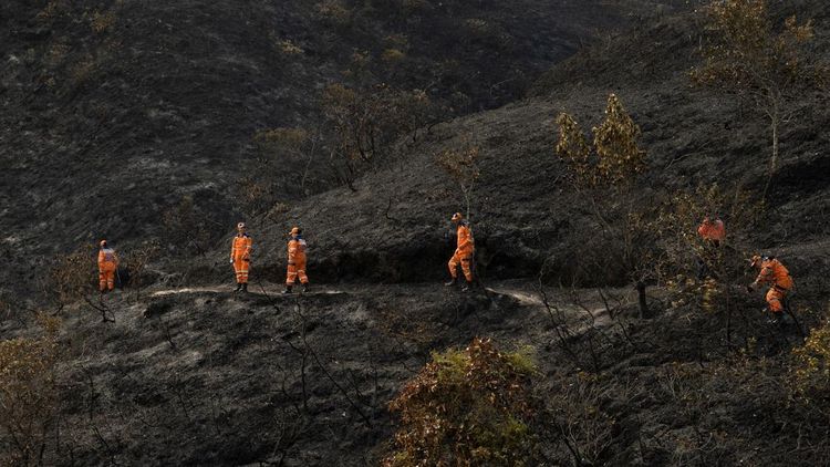 Tiga Hari Dilalap Api, Kebakaran Hutan Kolombia Akhirnya Berhasil Dipadamkan