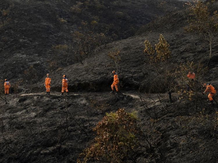 Tiga Hari Dilalap Api, Kebakaran Hutan Kolombia Akhirnya Berhasil Dipadamkan