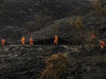 Tiga Hari Dilalap Api, Kebakaran Hutan Kolombia Akhirnya Berhasil Dipadamkan