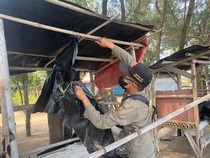 Awal Mula Temuan Bilik Mesum hingga Ceceran Bungkus Kondom di Pantai Pemalang