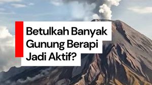 Video: Benarkah Banyak Gunung Berapi Tidak Aktif di Indonesia Jadi Aktif?
