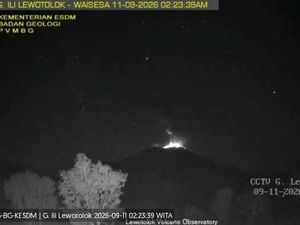 Gunung Ili Lewotolok Erupsi Disertai Dentuman, Muntahkan Kolam Abu 600 Meter