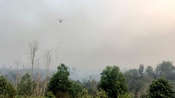Anggaran Karhutla Jambi Ditambah Rp30 Miliar, DPRD Minta Tepat Sasaran