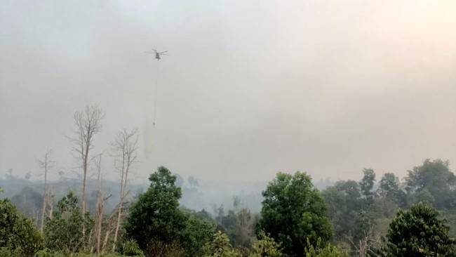 Anggaran Karhutla Jambi Ditambah Rp30 Miliar, DPRD Minta Tepat Sasaran