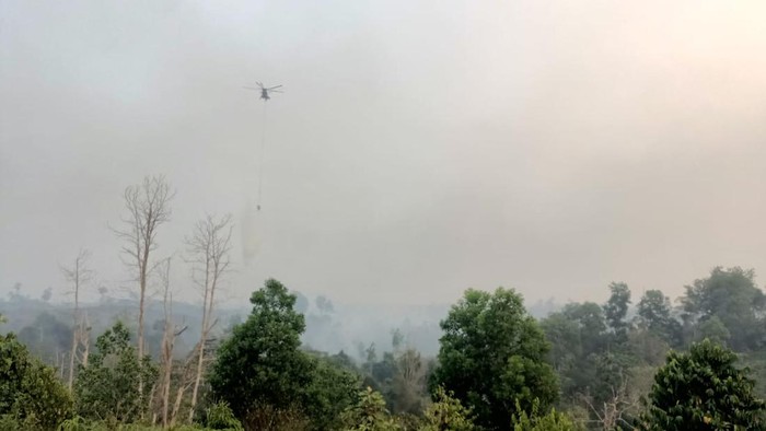 Helikopter water bombing saat memadamkan kebakaran Taman Hutan Raya (Tahura) Sultan Thaha Saifuddin, Batang Hari, Jambi