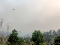 Anggaran Karhutla Jambi Ditambah Rp30 Miliar, DPRD Minta Tepat Sasaran
