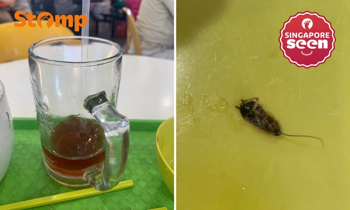 Hiii! Wanita Ini Hampir Telan Kecoak Saat Minum Teh