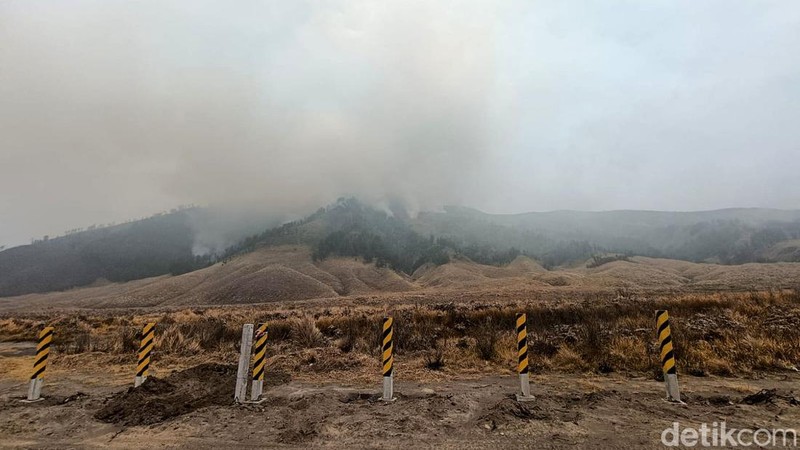 Karhutla Blok Pengol Gunung Bromo Belum Terkendali