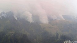 Emisi Karhutla Indonesia Tertinggi di Dunia, Lampaui Rusia