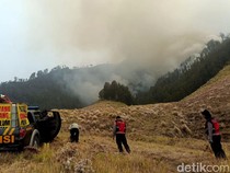 Api Karhutla Blok Pengol Gunung Bromo Makin Dekati Bukit Teletubbies