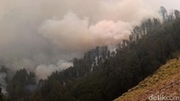 Ratusan petugas gabungan masih berjibaku memadamkan api. Mereka terdiri dari personel kepolisian, TNI, BPBD Kabupaten Probolinggo, Balai Besar Taman Nasional Bromo Tengger Semeru (TNBTS), serta para relawan.