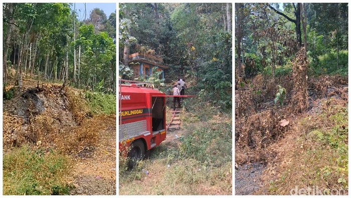 Tim gabungan lakukan pemantauan di Bukit Sulap Lubuklinggau.