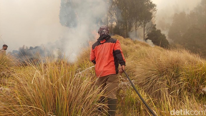 Kebakaran Sabana di Blok Pengol Bromo belum padam. Sejumlah kendala dihadapi tim gabungan.