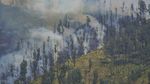 Kebakaran TNBTS, Akses Wisata Bromo dari Jemplang Ditutup