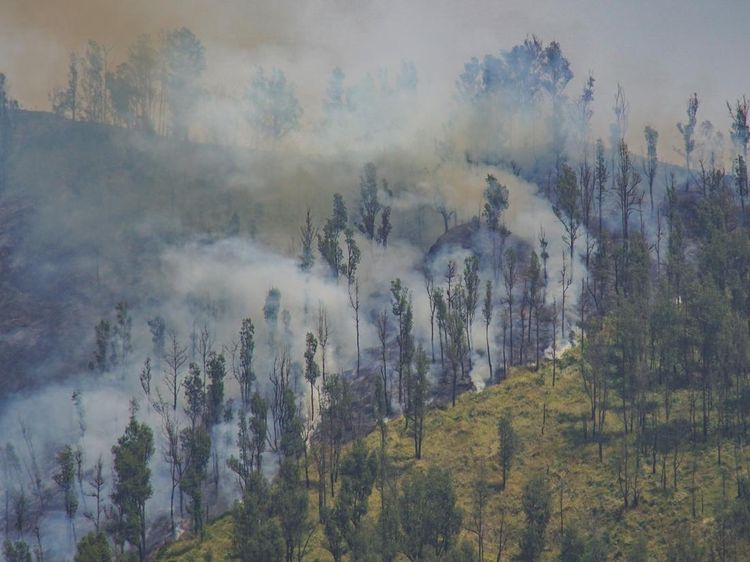 Kebakaran TNBTS, Akses Wisata Bromo dari Jemplang Ditutup