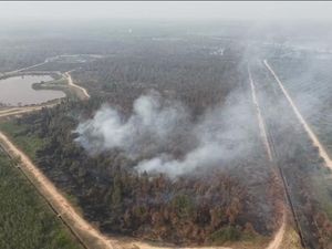 Kebun Raya Sriwijaya Kembali Terbakar, Tim Lakukan Pemadaman