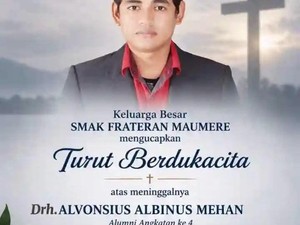 Jenazah Dokter Hewan yang Tewas Ditembak KKB Dipulangkan ke Sikka Hari Ini
