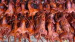 Tak Biasa! 8 Kuliner Ekstrem Indonesia yang Dibuat dari Tikus hingga Darah