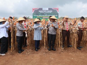 Jaga Surplus Pangan, Kapolda Jatim-Bupati Ipuk Panen Raya Jagung Lagi