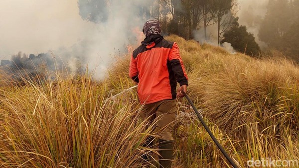 Petugas Gabungan Berjibaku Padamkan Karhutla Bromo
