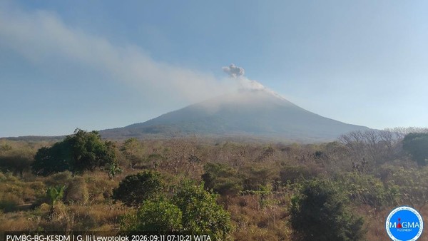 TIGA GUNUNG API ERUPSI SERENTAK: SEMERU, ILI LEWOTOLOK, DAN GUNUNG IBU UNJUKKAN AKTIVITAS VULKANIK TINGGI