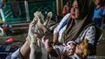 Posyandu Jadi Garda Depan Cegah Stunting Anak