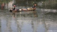 Menurut warga, kangkung liar muncul akibat pendangkalan aliran sungai saat musim kemarau, sementara sebagian warga memanfaatkan surutnya air BKB untuk mencari ikan menggunakan sampan.