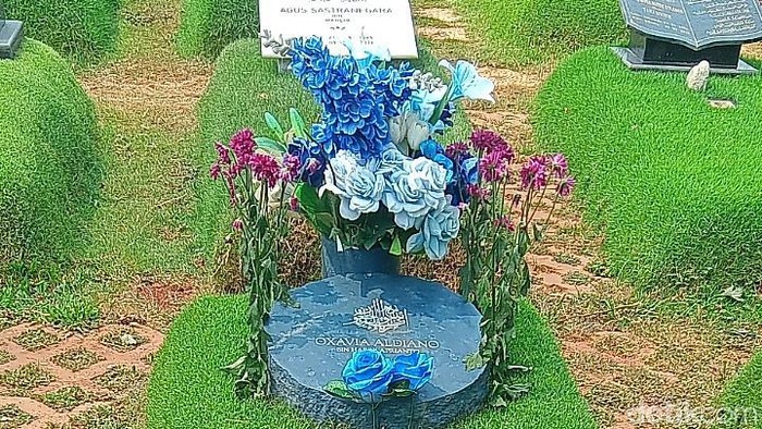 Makam Vidi Aldiano