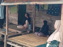 Video: Lansia di Mamuju Tinggal di Rumah Reyot Masuk Desil 6, Kini Tak Dapat Bansos