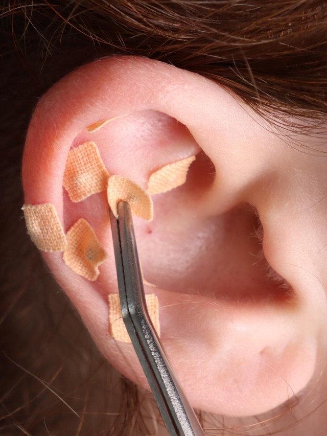 Tren Ear Seeds ala Idol K-Pop