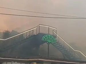 Fakta-fakta Karhutla Kepung Kafe Bromo Hillside hingga Pengunjung Panik