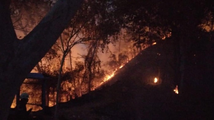 Bukit di Desa Kebon, Kecamatan Bayat, Klaten terbakar.