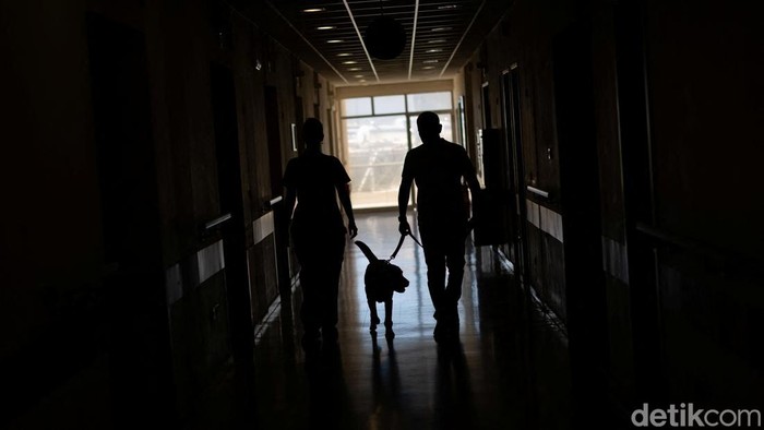 Cancer patient Diamanto Mitrakou, 66, pets Dylan during her treatment. Dylan is the first to become a permanent presence in Greece's public healthcare system, at Metaxa Cancer Hospital, offering companionship, comfort and emotional support as part of a pioneering animal-assisted care programme. REUTERS/Stelios Misinas