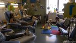 Berkenalan dengan Dylan, Anjing Terapi yang Temani Pasien Kanker