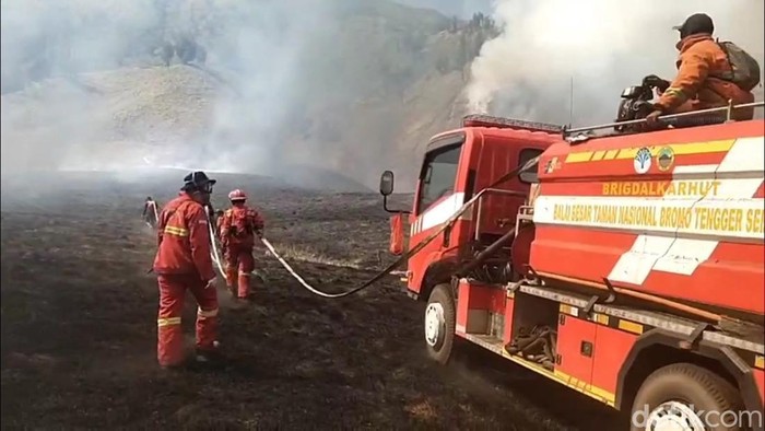 Pertugas tengah berupaya memadamkan karhutla di kawasan TNBTS