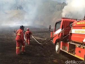 Rangkuman Karhutla Bromo Makin Membara hingga Kepung Kafe Hillside