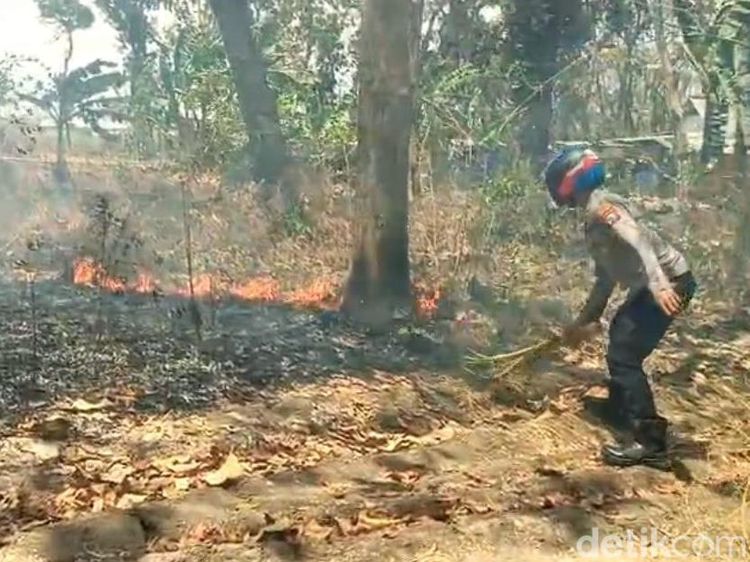 Potret Kebakaran Bromo, Api Terus Merembet Membakar Bukit Teletubbies