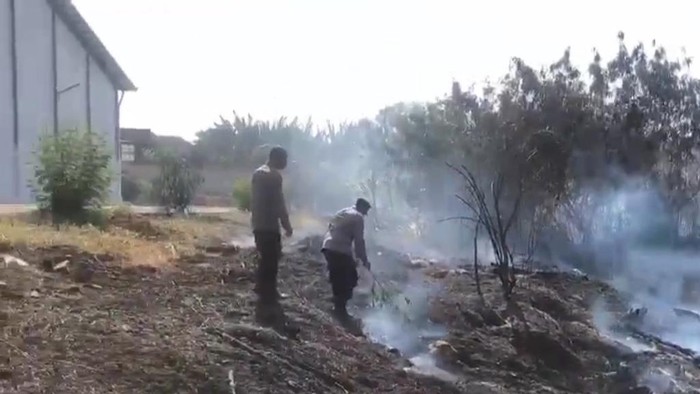 Petugas berjibaku padamkan kebakaran lahan diduga imbas bakar-bakar sampah yang nyaris menyambar pabrik bahan kimia di Pasuruan.