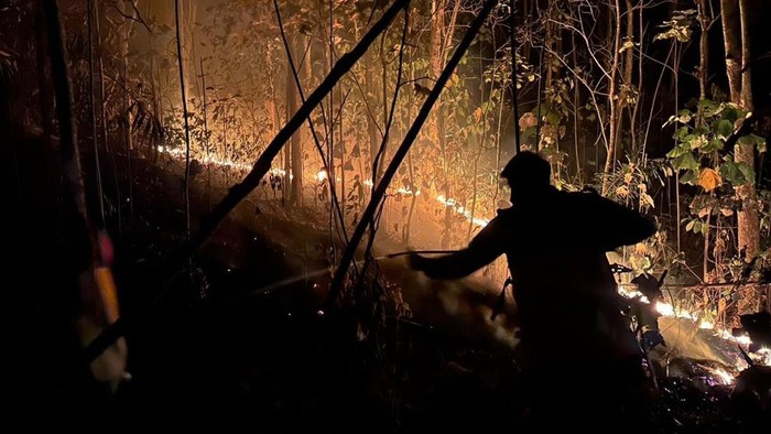 Petugas memadamkan kebakaran hutan dan laha di Pringsewu