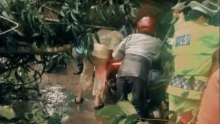 Polisi mengevakuasi pohon tumbang di Karo