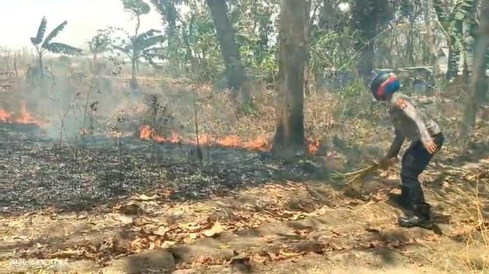 Anggota Polsek Panceng Gresik melakukan upaya pemadaman karhutla