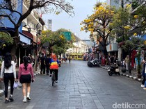 Ayo Jadwalkan ke Bandung, Tabebuya Bermekaran dengan Indahnya di Jalan Braga
