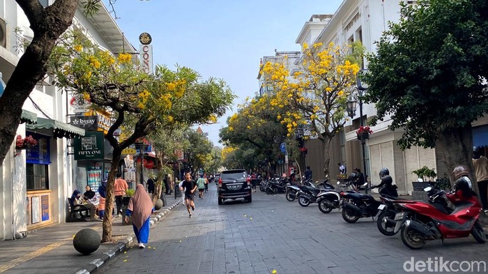 Bunga Tabebuya bermekaran di Jalan Braga Bandung