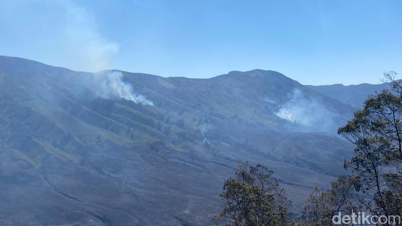 Api Karhutla Bromo menuju wilayah Malang dan mengepung Cafe Hillside