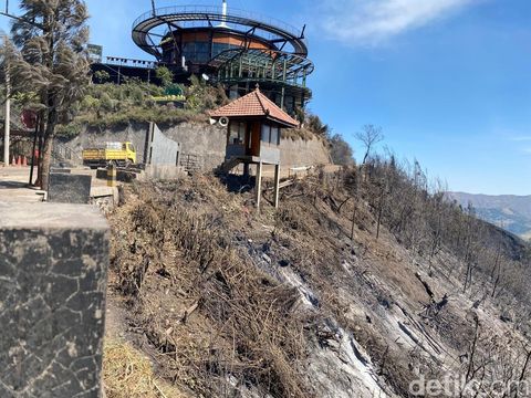 Karhutla Bromo Api Karhutla Bromo menuju wilayah Malang dan mengepung Cafe Hillside