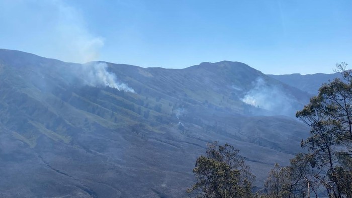 Kebakaran hutan dan lahan di Bromo meluas hingga mendekati Pos Jemplang