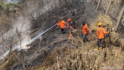 Water Bombing Tak Bisa Mengudara Padamkan Karhutla Bromo, Ini Alasannya