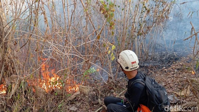 Kebakaran di bukit Pertapan, Desa Kebon, Kecamatan Bayat, Klaten masih terlihat.