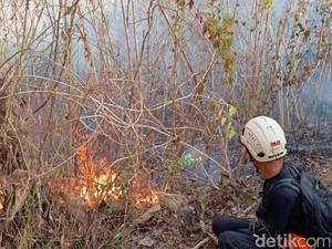 Kebakaran Hutan Bukit Pertapan Bayat Klaten Belum Padam