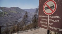 Kebakaran Melanda Bromo, Seluruh Jalur Wisata Ditutup Total